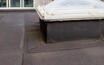 disadvantages of Great Wilne flat roofs