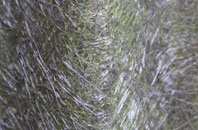 Great Wilne fibreglass roof work